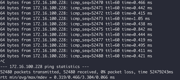 Testing Koneksi ICMP 