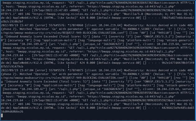 Ingress Traffic Logs